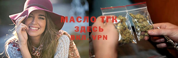 молекула духа Каменка