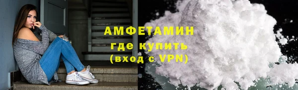 молекула духа Каменка