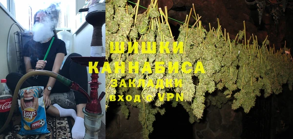 молекула духа Каменка