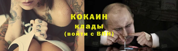 молекула духа Каменка