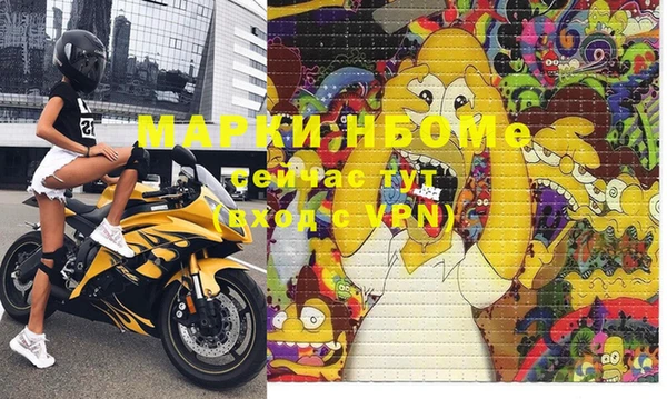 молекула духа Каменка