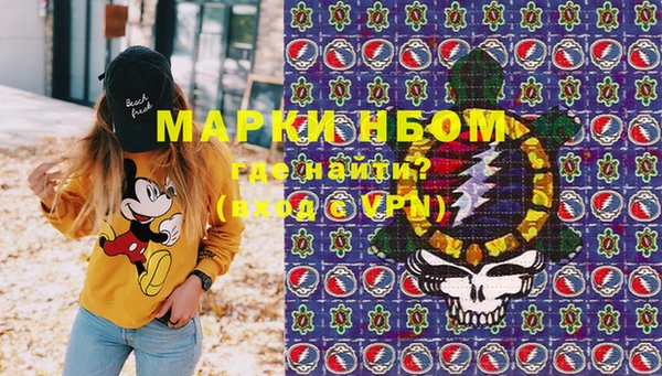 молекула духа Каменка