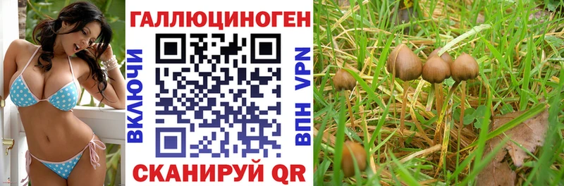Псилоцибиновые грибы MAGIC MUSHROOMS  Купить где  Когалым 